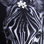 Ink