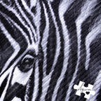 Ink